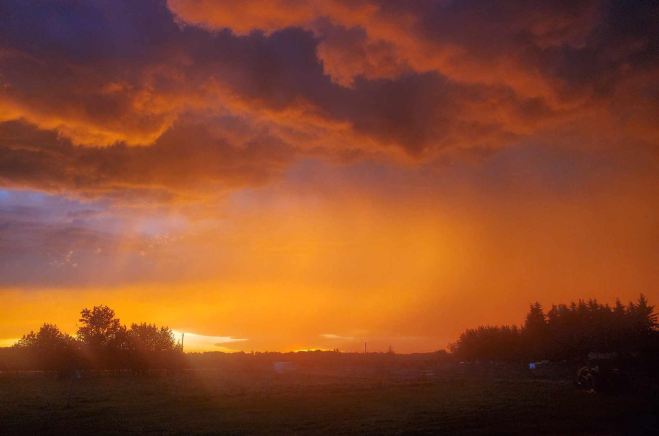 Mcleod Creek Farm and Campground